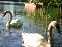 am Weissensee