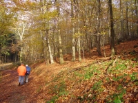 goldener Herbst