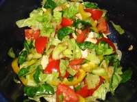 frischer bunter Salat