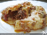 66792-big-lasagne