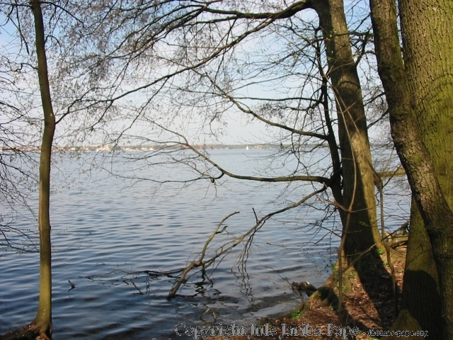 die FrÃ¼chte des Geistes