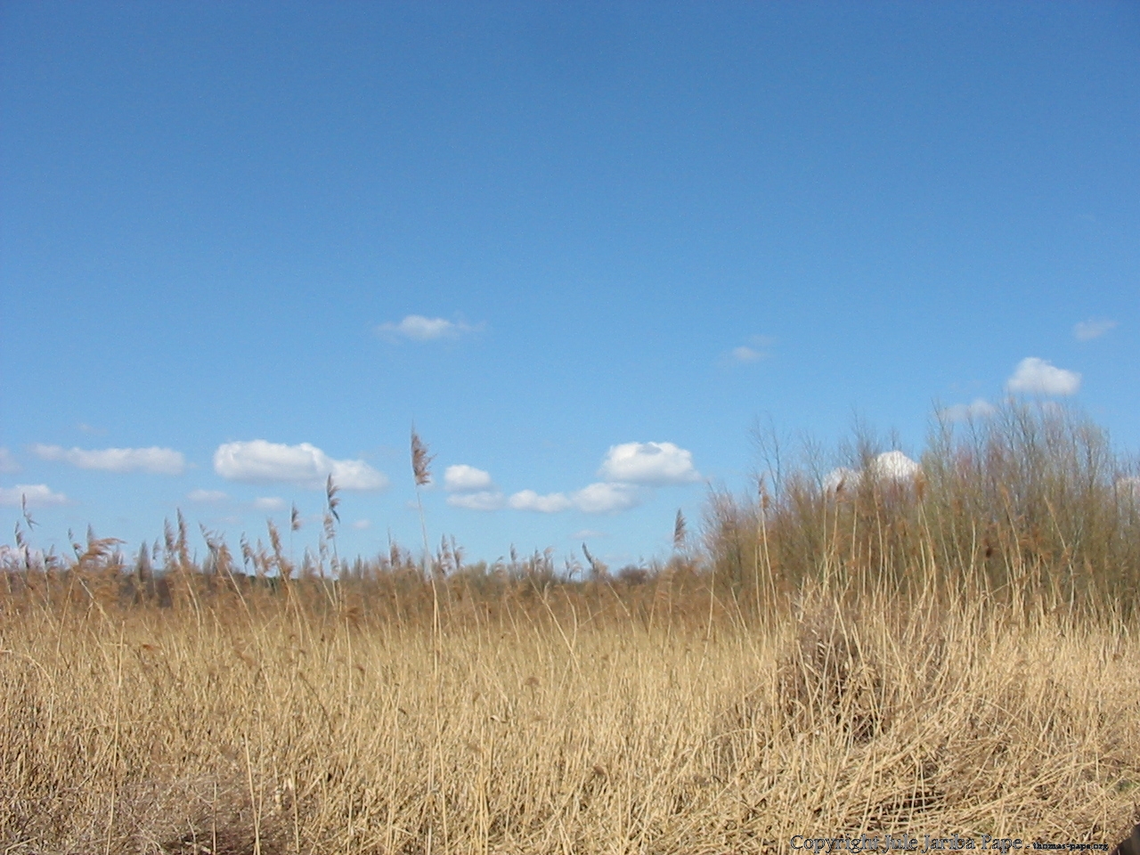 Wie Jehova unsere BrÃ¼der sieht