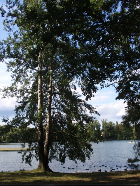 Dem Weg des Friedens folgen